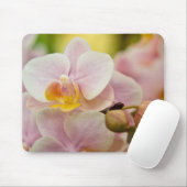 Phalaenopsis-Orchidee Mousepad (Mit Mouse)