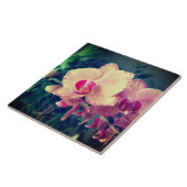 Phalaenopsis polka dot pink Blume floral Fliese (Seite)