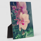 Phalaenopsis polka dot pink Blume floral Fotoplatte (Seite)