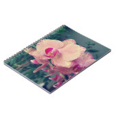 Phalaenopsis polka dot pink Blume floral Notizblock (Linke Seite)