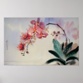 Phalaenopsis Poster (Vorne)