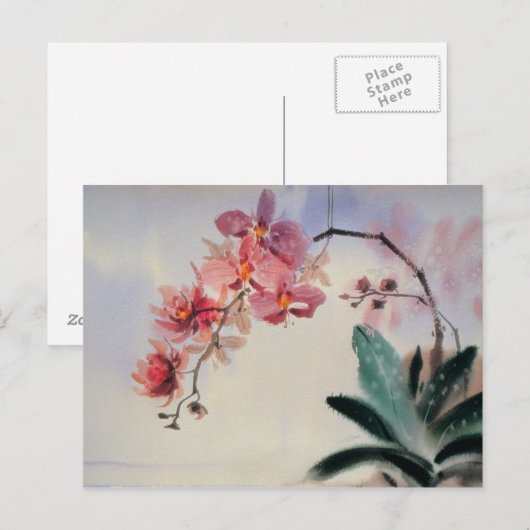 Phalaenopsis Postkarte (Vorne/Hinten)
