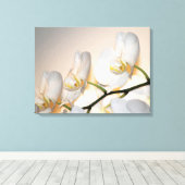 Phalaenopsis Sogo Yukidian Orchid Wrapped Canvas Leinwanddruck (Insitu (Holzboden))