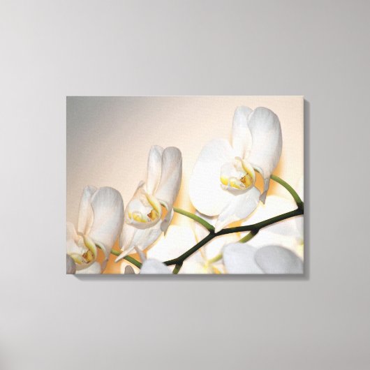 Phalaenopsis Sogo Yukidian Orchid Wrapped Canvas Leinwanddruck (Vorderseite)