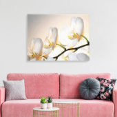 Phalaenopsis Sogo Yukidian Orchid Wrapped Canvas Leinwanddruck (Insitu (Wohnzimmer))