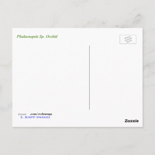 Phalaenopsis Sp. Orchidee Postkarte (Rückseite)