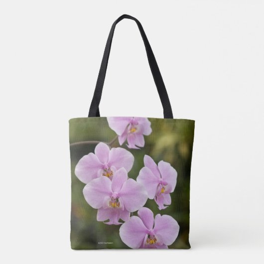 Phalaenopsis Tasche (Rückseite)