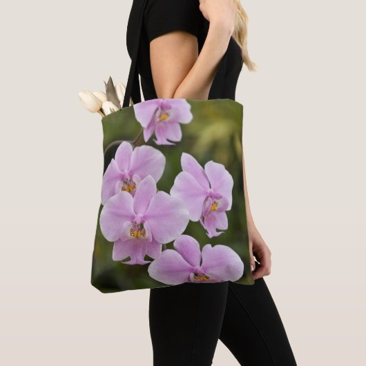 Phalaenopsis Tasche (Von Nahem)