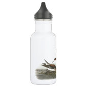 Phalarope mit rotem Hals von Audubon Trinkflasche (Links)