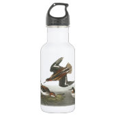 Phalarope mit rotem Hals von Audubon Trinkflasche (Vorderseite)