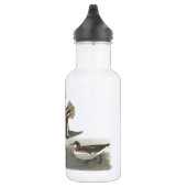 Phalarope mit rotem Hals von Audubon Trinkflasche (Rechts)