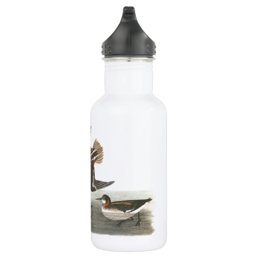 Phalarope mit rotem Hals von Audubon Trinkflasche (Rechts)