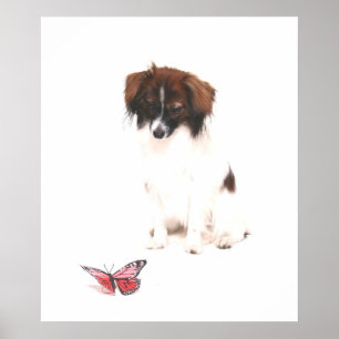 Phalene Papillon mit Butterfly Poster