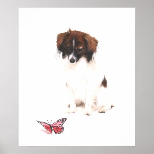 Phalene Papillon mit Butterfly Poster (Vorne)