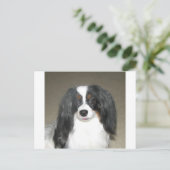 Phalène Papillon Postkarte (Stehend Vorderseite)