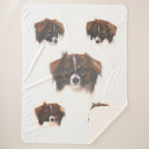 PHALENE PAPILLON SHERPADECKE