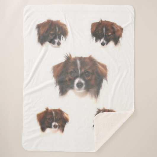 PHALENE PAPILLON SHERPADECKE (Vorderseite)