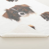 PHALENE PAPILLON SHERPADECKE (3/4)