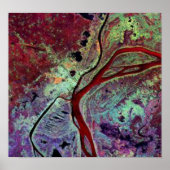 Phänospilze Poster (Vorne)