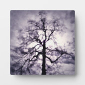 Phantastes Foto Plaque Fotoplatte (Vorderseite)