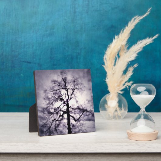 Phantastes Foto Plaque Fotoplatte (InSitu)