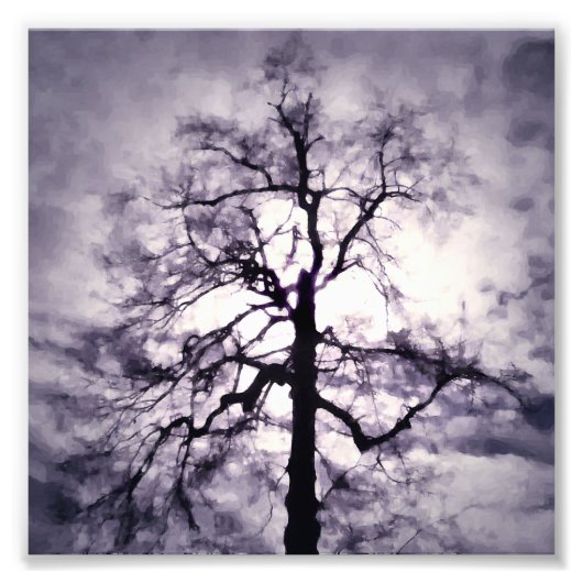 Phantastes Foto Print (Vorne)