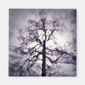 Phantastes Magnet (Vorne)