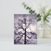 Phantastes Postcard Postkarte (Stehend Vorderseite)