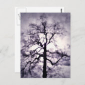 Phantastes Postcard Postkarte (Vorne/Hinten)