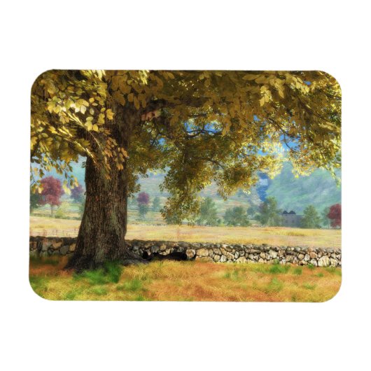 Phantasti: Unter dem flexiblen Magnet der Buche (Horizontal)