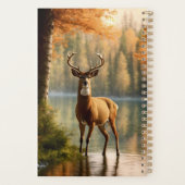 Phantastisch 12 Punkte in den Herbstgewässern Planer (Rückseite)