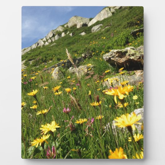 Phantastisch! Alpenische Blume Fotoplatte (Vorderseite)