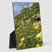 Phantastisch! Alpenische Blume Fotoplatte (Seite)