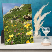 Phantastisch! Alpenische Blume Fotoplatte (Seite)