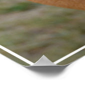 Phantastisch Basenji Dog Poster (Ecke)