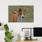 Phantastisch Basenji Dog Poster (Heimbüro)