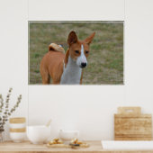 Phantastisch Basenji Dog Poster (Küche)