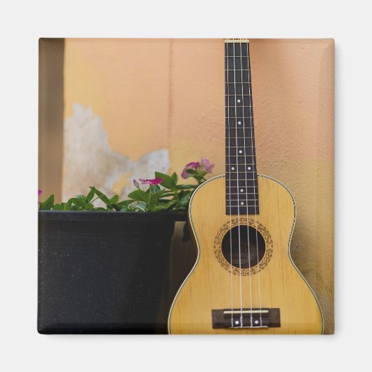 Phantastisch Bass Guitar Magnet (Vorne)