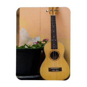 Phantastisch Bass Guitar Magnet