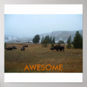 Phantastisch Buffalo Poster (Vorne)