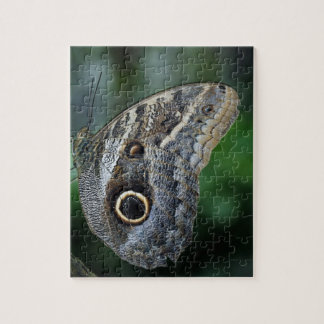 Phantastisch Caligo Eurilochus Butterfly Puzzle