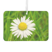 Phantastisch Daisy Air Freshener Autolufterfrischer (Rückseite)
