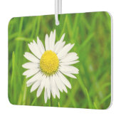 Phantastisch Daisy Air Freshener Autolufterfrischer (Links)