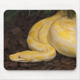 Phantastisch-Gelbbirmanischer Python Mousepad