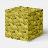 Phantastisch-Gelbe Burmese-Python Geschenkschachtel (Rückseite)