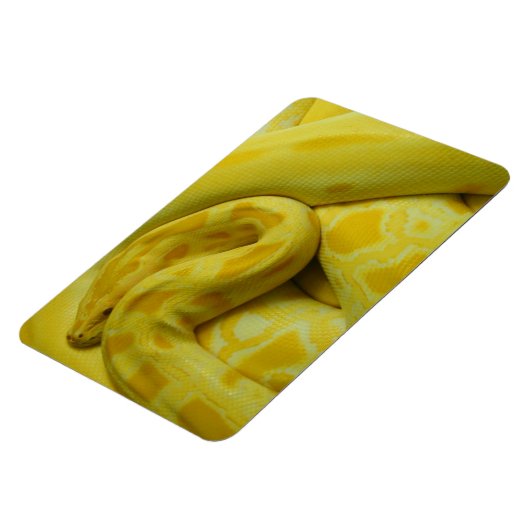 Phantastisch-Gelbe Burmese-Python Magnet (Linke Seite)