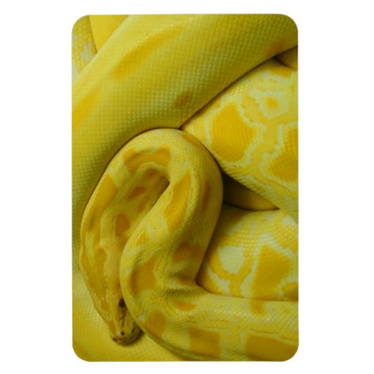 Phantastisch-Gelbe Burmese-Python Magnet (Vertikal)