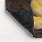 Phantastisch-Gelbe Burmese-Python Mousepad (Ecke)