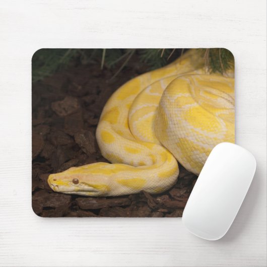 Phantastisch-Gelbe Burmese-Python Mousepad (Mit Mouse)