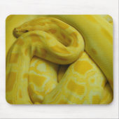 Phantastisch-Gelbe Burmese-Python Mousepad (Vorne)